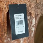 Frederick's of Hollywood NWT Toast Hollywood Dream Sweetheart Corset Sz 36 Photo 7