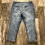 Jag jeans  Light Blue Boyfriend Jeans Size 12P Photo 5