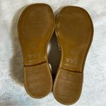 Francischini Metallic Beaded T Photo 4