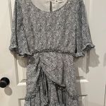 Impeccable Pig Dress Photo 0