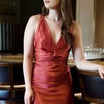 Bishop and Young  Satin Dress Photo 0