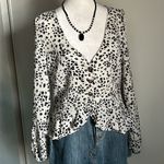 Nasty Gal Deep V-Neck Leopard Print Button Up Long Sleeve Semi-Sheer Blouse Photo 7