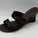 Diego Di Lucca Womens Brown Croc Photo 7