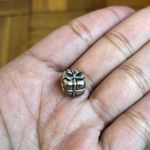 Pandora Sterling Silver Charm Photo 0