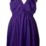 Anthropologie  Maeve Ruffled Tulle Mini Dress deep Purple L Photo 0