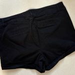 Torrid  Black Chino Shorts Photo 2