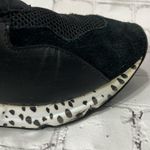 Steve Madden Cliff Chunky Wedge Sneakers Black/White-8.5M Photo 9