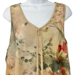 Vintage 90s Beige Pink Green Floral Roses Sheer Coquette Lingerie Dress size L Size L Photo 2