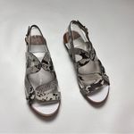 Kelly & Katie  Deenah Women’s Animal Print Sandals Sz 6.5 Photo 15