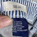 Madewell White & Blue Striped Zip Ankle Skinny Jeans Photo 5