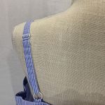 Torrid Striped Blue and White Poplin Lace Up Corset Tank Top Size 1X Photo 8