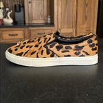 Steve Madden  Ecentric Leopard‎ Pony Hair Slip On Sneaker Shoes Real Fur Womens 8 Photo 3