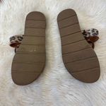 Madden Girl Brown Leopard Sandals Photo 3