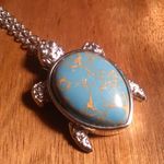 Mojave Blue Turquoise Copper Turtle Pendant Stainless Steel Necklace Photo 0