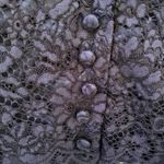 Donna Morgan  Crop Top Photo 7