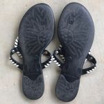 Jack Rogers  Georgica Jelly Sandals Black White Photo 10