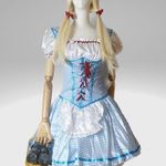 The wizard of oz dorothy adult costume Blue Size M Photo 0