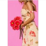 Reformation Isadora gown in champagne Photo 3