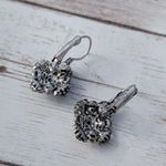 Dangle Earrings for Pierced Ears Photo 6
