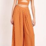 Flynn Skye Dylan Pant in Pumpkin Seeds Size Medium Photo 1