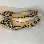 Enzo Angiolini  Leopard Print Flats with Gold Accents Photo 3