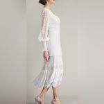 Tadashi Shoji NEW Nyssa Bishop Sleeve Lace Pintuck Long SleeveMidi Dress sz 6 Photo 3