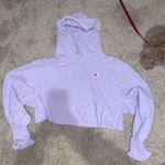Champion Crop Hoodie Photo 1