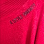 Aerie  Red Crew Neck Sweater Vibrant Knit Photo 2