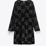 ZARA  NWT BLOGGER FAVORITE  SEQUIN appliqué FRINGED BLACK/SILVER MINI DRESS L Photo 2