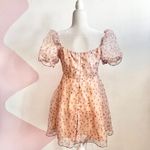 Cider Pink‎ Floral Babydoll Cupcake Dress Coquette Fairycore Kawaii Medium Homecoming Photo 2