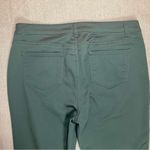 Westport  | Green Signature Fit Skinny Jeans | Size 12 Photo 6