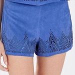 Parker NBW Laser Cut Suede Shorts Photo 4