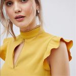 Paper Dolls  London ASOS Collared Dress Photo 13