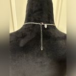 Charming Charlie  Tassel Necklace Photo 4