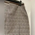 Banana Republic  Brown White Cotton Lined Zip Pencil Skirt Front Pleat Size 2 Photo 2