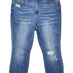 Judy Blue  Women's High Waist Skinny Fit Boho Embroidered Dandelion Jeans Sz 14W Photo 0