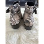 Qupid  Women's Snakeskin Ankle Booties Multicolor Size US‎ 7 NEW Photo 4