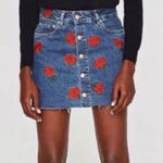 ZARA ‎ Embroidered Floral Rose Denim Skirt Raw Hem XS Photo 0