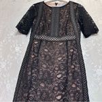 Antonio Melani  Black Lace Sleeve Dress Photo 6