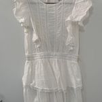 Forever 21 Clip Dot Lace Ruffled Mini Dress Photo 4