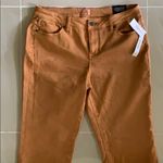 Dress Barn NWT All-Day Stretch Straight Jean Photo 1