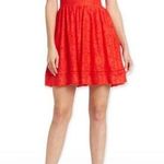 Nsr  lace mini dress red size medium Photo 0