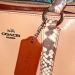 Coach  Tan and Snakeskin Structured Leather Satchel/Crossbody and Dustbag Photo 2