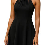 Three Hearts Three Pink Hearts Trixxi Black Halter Skater Mini Dress XS Fit & Flare Cutout Photo 0