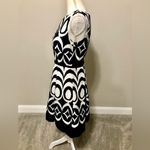 The Limited  A line Pleated Drop Waist Dress With Pockets Photo 2