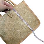 Caroline Hill  Ricky Mini Tote in Straw Nude Photo 11