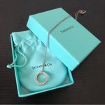 Tiffany & Co. 1837 Necklace Pendant Photo 0