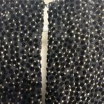 ASTR  the‎ label Florence Princess Sleeve Top Black Velvet Dot Size Medium Photo 7