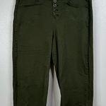 Torrid  Cropped Wide Leg Green Pants Size 18 Photo 0