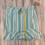 Patagonia Blue and White Striped Skirt Photo 4
